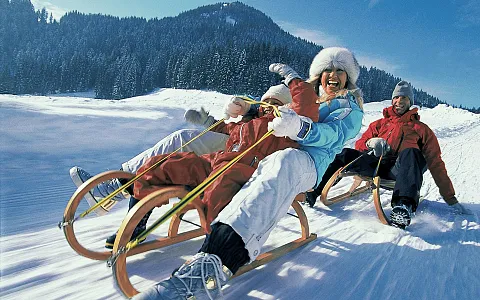 kam_000085_familiebeimrodeln_archivkitzbueheleralpenbrixental.jpg