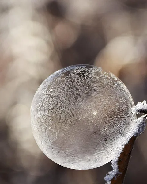 bubble1893368.jpg